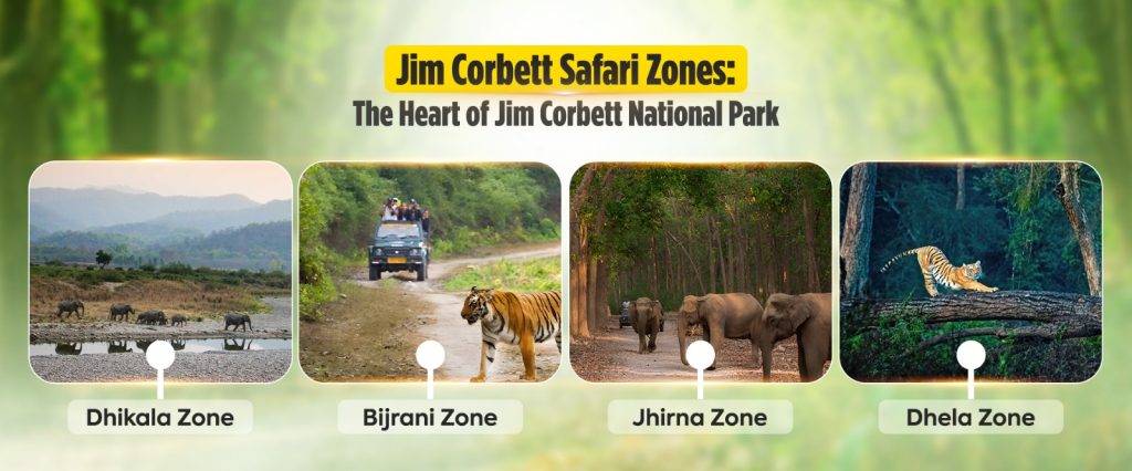 Best Safari Resort in Jim Corbett
